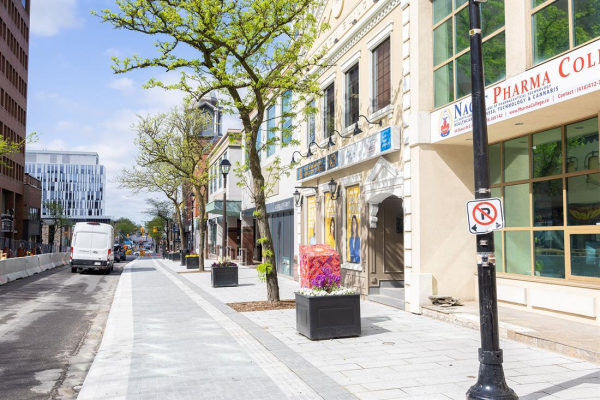 Protecting Small Businesses through Brampton’s Economic Growth